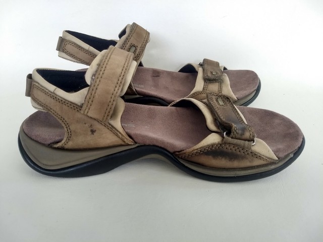 clarks springers shoes