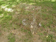 Dog Cage, 34"x20"24" Steel, door size 13"x14 1/4" for a dog the size of a PitBu
