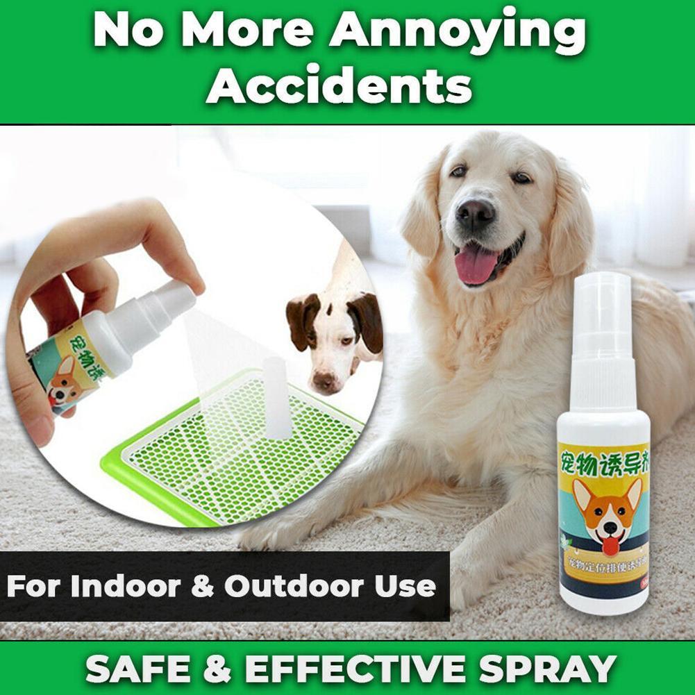 Safe Dog Puppy Toilet Training Spray Pet Potty Training 30ml Cat