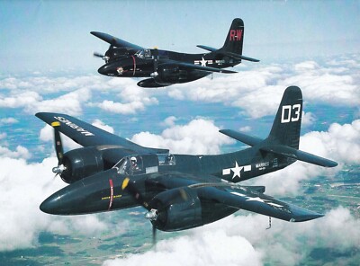 Grumman Tigercat Aircraft photo 1/20/2025a