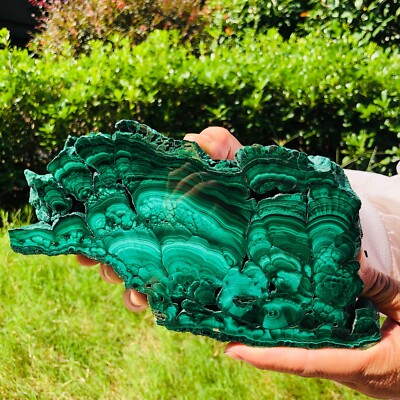 1.54LB Natural malachite slice quartz crystal luster mineral specimen heals 644