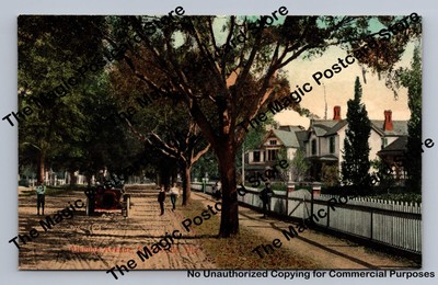 Kids on Alachula Avenue GAINESVILLE Florida Antique Postcard ~1910s