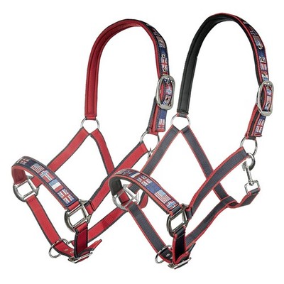 HKM Halter international-team WB