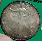 1993 Walking Liberty American Eagle 1 oz. .999 Silver Dollar (Capsule) FREE SHIP