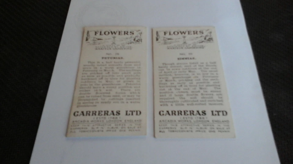 Carreras  FLOWERS. ( 2  cards Petunnias & Zinnias # 29&35) - Image 2 of 2