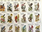 50 State Birds and Flowers Mint Set: USPS Item 801, 20c STAMPS, mounts, SEALED — photo 4