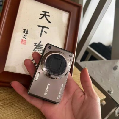 Sony Cyber-shot DSC-W290 Digital Camera 12.1MP CCD Vintage with Accessories