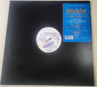 LP ELECTRONIC MUSIC HOUSE Shara Nelson - Down That Road Chrysalis US 1994