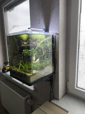 Wandhalterung für Dennerle Nano Cube 30L 