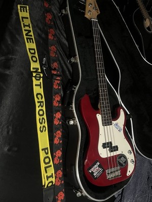  read description  takamine g series HARD CASE and 4 string Ariana pbasS