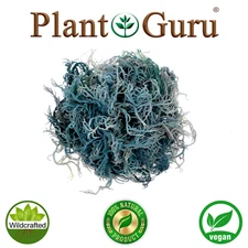 Green Sea Moss St Lucia / Dr Sebi Irish Moss Wildcrafted 100% Pure Raw