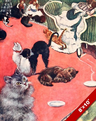 LOTS OF CATS WOMEN CAT KITTEN PET ANIMAL ART