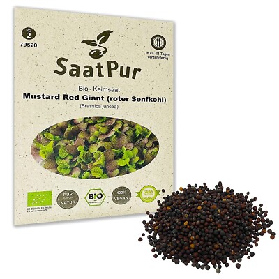 20g BIO Keimsaat für Sprossen Roter Senfkohl Senf Mustard Red Giant Samen Vegan