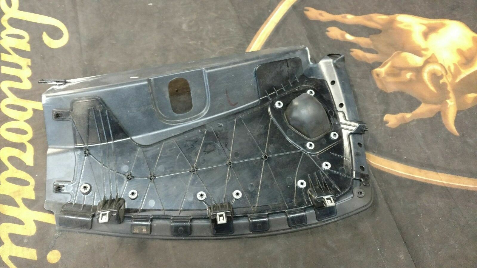 LAMBORGHINI HURACAN PASSENGER RIGHT SIDE QUARTER PANEL DOOR JAM PANEL TRIM OEM 