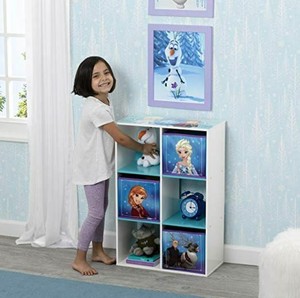 frozen organizer