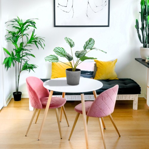 1 szt. Sztuczna roślina Calathea Bonsai Kreatywna roślina Bonsai Roślina doniczkowa - Zdjęcie 3 z 16