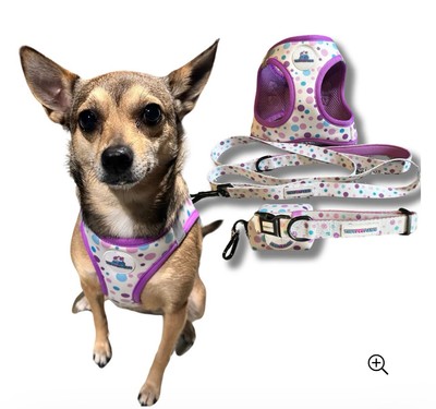 Purple Dog Harness + Leash, Collar, And Poop Bag | Jazzy Pet Paws