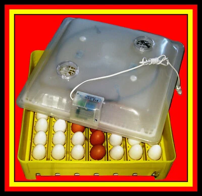 BOROTTO 107)Brüter-Brutgerät-Brutschrank-Brutautomat-Motorbrüter-Flächenbrüter-Inkubator