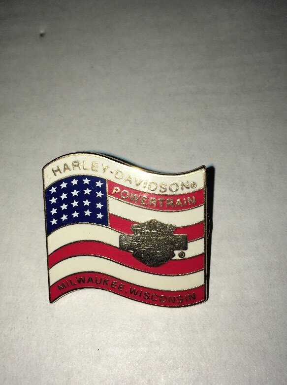 set of Vintage Harley pins 100th 95th Rare pins