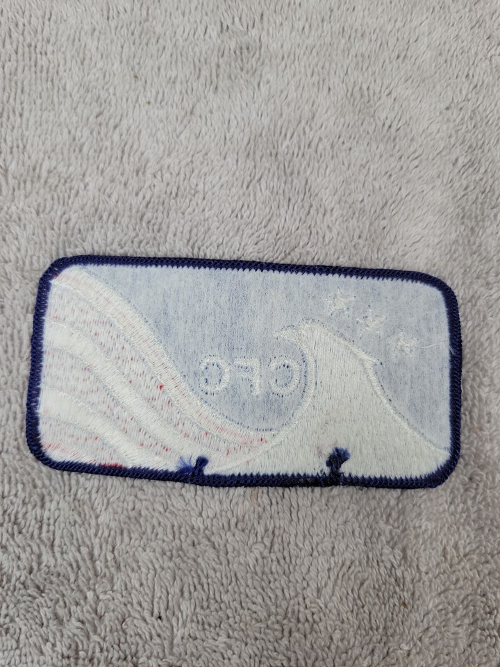 CFC American Eagle Jacket Patch - Combined Federal Campaign USA United ...