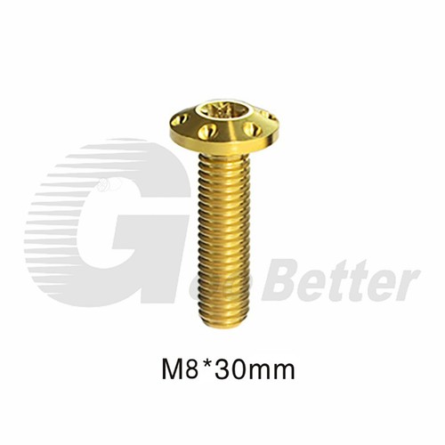 Titanium Disc Brake Rotor Bolts Torx T40 Head M8 x 20 25 30mm Motorcycle E-bike - Picture 17 of 33