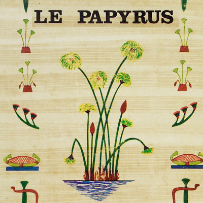 PAPYRUS Paper Making French Language Hand Traditional Modern Techniques Fibers 