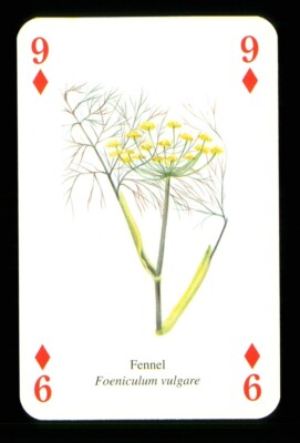 1 x Spielkarte vom Kraut Fenchel - 9 of Diamonds ZU 11