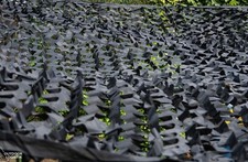 Weißes Tarnnetz 3x6m - Vielseitiger Sichtschutz Für Garten, Camping & Party