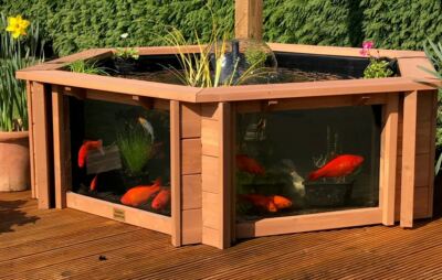 Lily Clear View Garden Aquarium Brauner erhöhter Fischteich mit großen Fenstern
