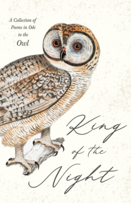 King Of The Night - A Collection Of Poems In Ode To The Owl