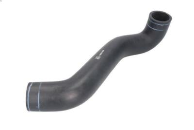 Radiator Hose DT SPARE PARTS 4.80824 for AXOR 6.4 2002-2004