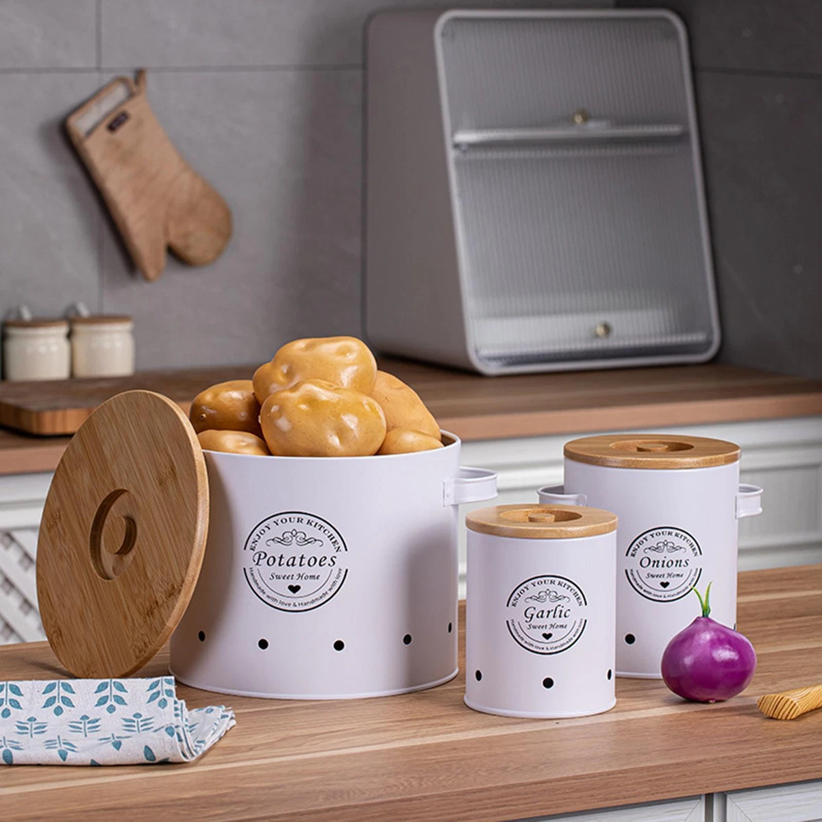 Onion storage containers online