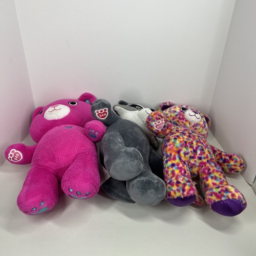 Build A Bear Great Wolf Lodge Oliver The Raccoon Catlynn Kabu Kitty Cat Rainbow - Imagen 6 de 10