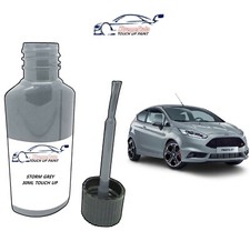 FOR FORD ST200 STORM GREY PAINT TOUCH UP KIT 30ML FIESTA ST REPAIR KIT SCRATCH