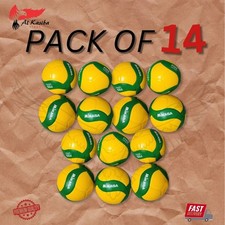 Mikasa Volley Ball V200W | SIZE 5 | FIVB Approved 2019 Match Ball | PACK OF 14