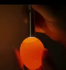 Incubator Eggtester LED Flashlight Detector for Chicken Quail Hatching