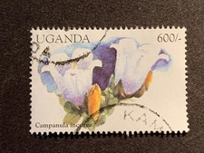 UGANDA 1998 FLOWERS OF THE MEDITERRANEAN 600/- CAMPANULA INCURVA - FU 600SH