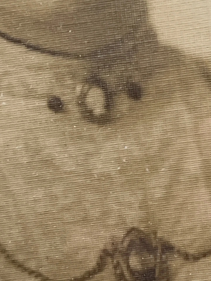 Antigua Foto Mujer Broche Plano Vidrio Marco Madera Fotografía Plata Ovalado Foto 4 de 4