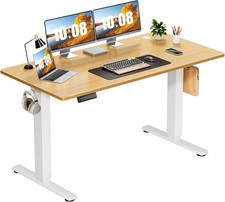 Electric Standing Desk Adjustable Height, 55x24 Inch Sit Stand Up Home Office De