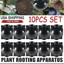 10X Propagation Plant Rooting Ball Box Growing Graft Garden