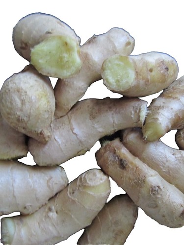 Racine De Galanga BIO 100% Naturelle 80g - Gingembre Asiatique, épice, Fabriqué Au Maroc