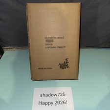 Hot Toys TMS030  Transport Trooper Star Wars the Mandalorian Collectible