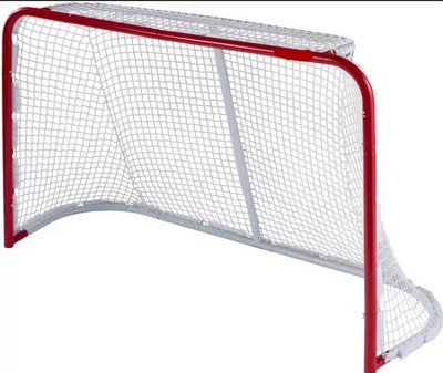 Easton Premier Pro Regulation Street Hockey Goal 6  X 4  X 26  New