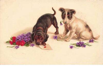 Animals - Dog - A dachshund and a dog surrounded by violets