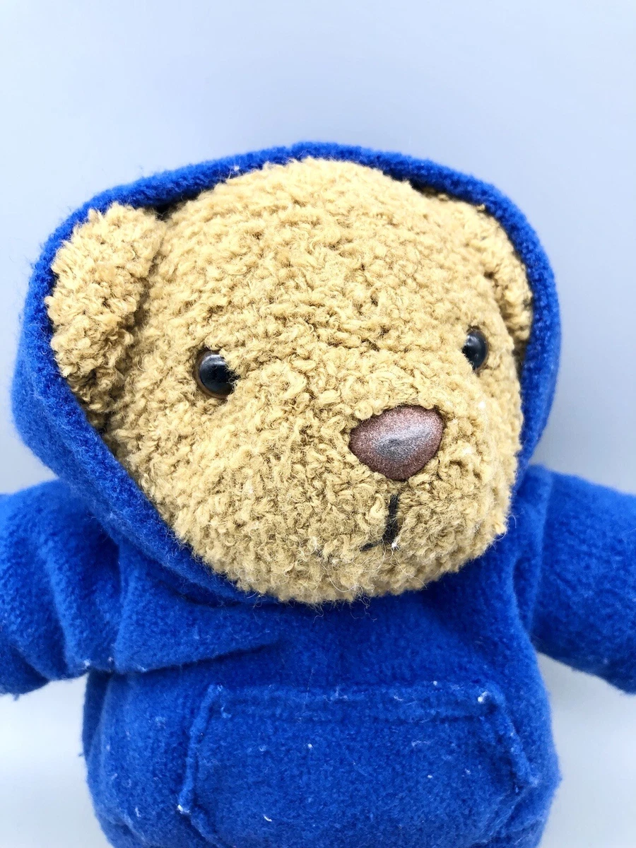 Teddy bear wearing hoodie sales