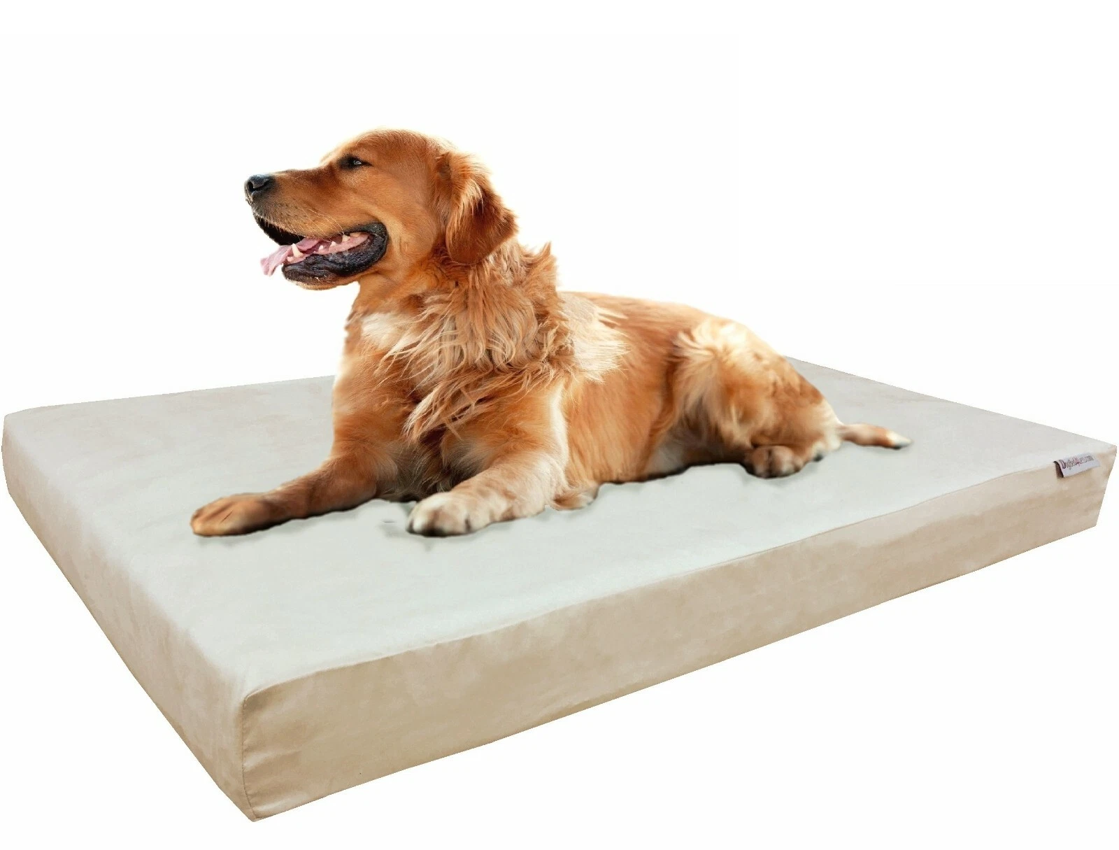 XL Extra Large Khaki Suede Pet Dog Bed Orthopedic Waterproof Memory Foam 40x35x4