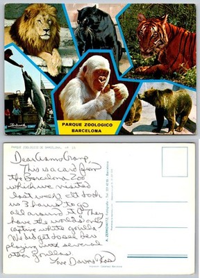 Barcelona Zoo Postcard White Gorilla Lion Tiger Dolphin Bear Spain Vintage 1968