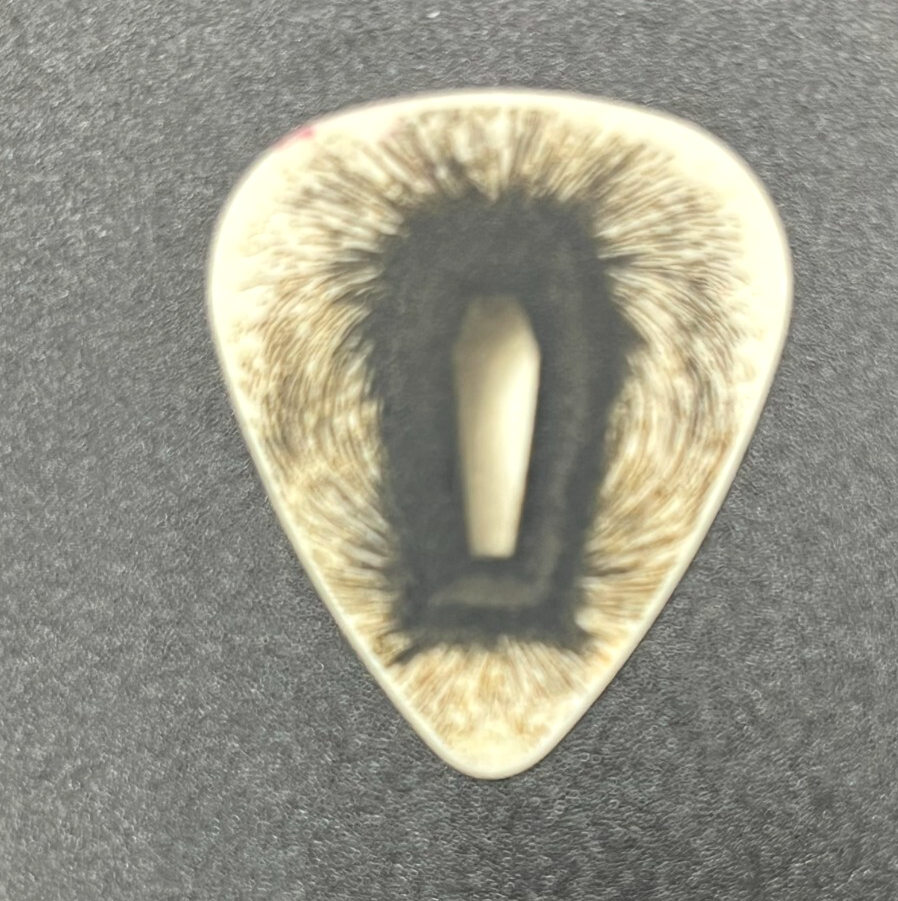 Picture 3 of 4