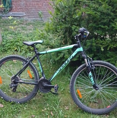 Rockrider ST 100 Mountainbike Hardtail Federgabel vorn schwarz/türkis