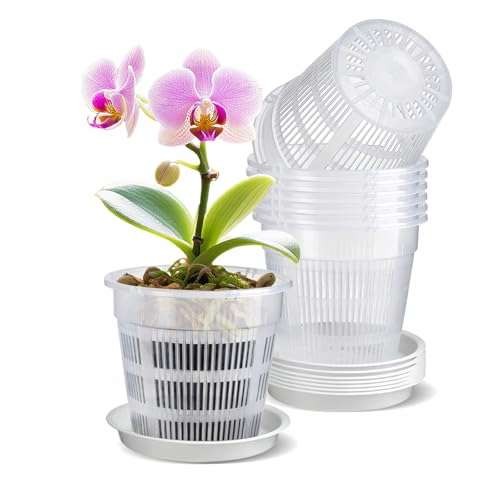 8 PCS Clear Orchid Pot, 16CM Plastic Plant Pots with  Assorted colors